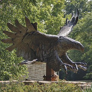 School of Law eagle statue