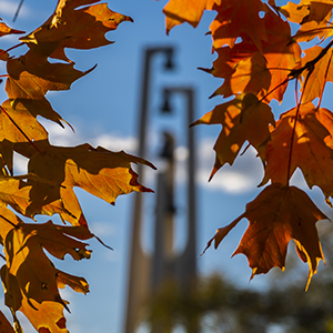Kuehne Bell Tower with fall foliage