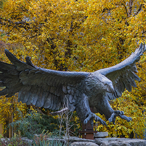 Eagle statue outside School of Law building