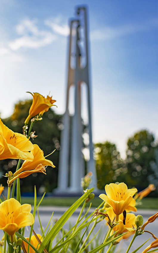 Kuehne Bell Tower with daffodils in the foreground
